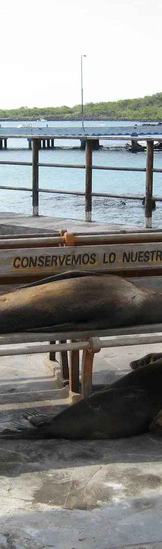 San Cristóbal